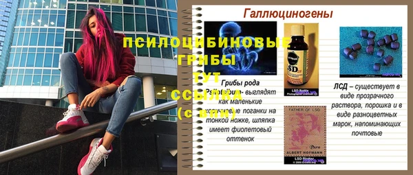 mdpv Верея