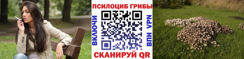 Купить Верхоянск Галлюциногенные грибы прущие грибы